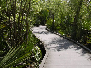 Jean Lafitte National Historic Park & Preserve