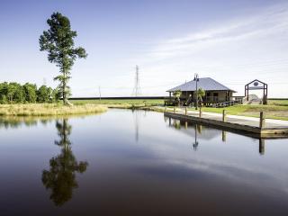 40 Arpent Wetlands Observatory