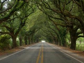 San Bernardo Scenic Byway