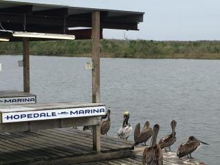 Hopedale Marina 