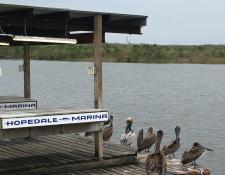 Hopedale Marina 